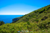 CantineMazzella-4758