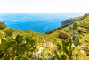 CantineMazzella-6908