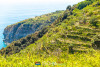 CantineMazzella-6912